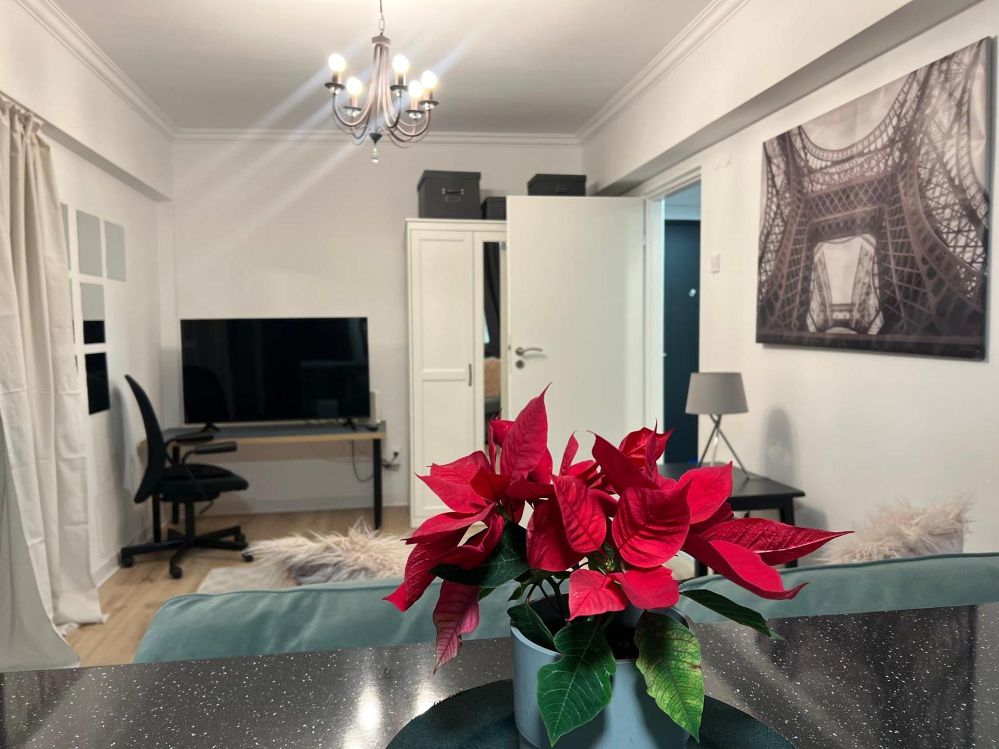 Cosy Studio Floreasca Bukarest Exteriör bild