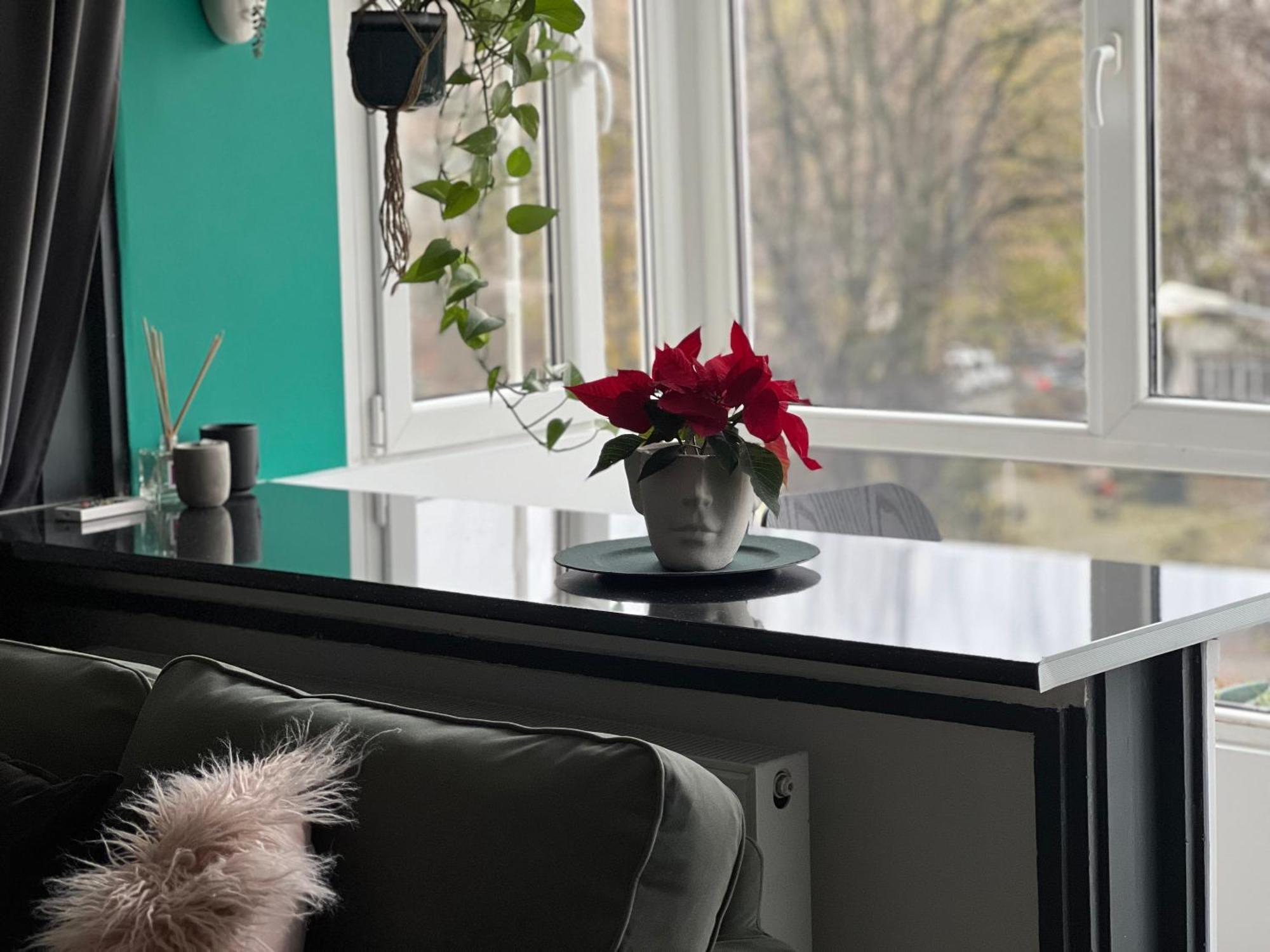 Cosy Studio Floreasca Bukarest Exteriör bild
